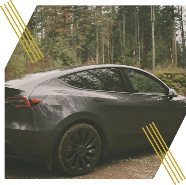 Voiture grise dans la forêt